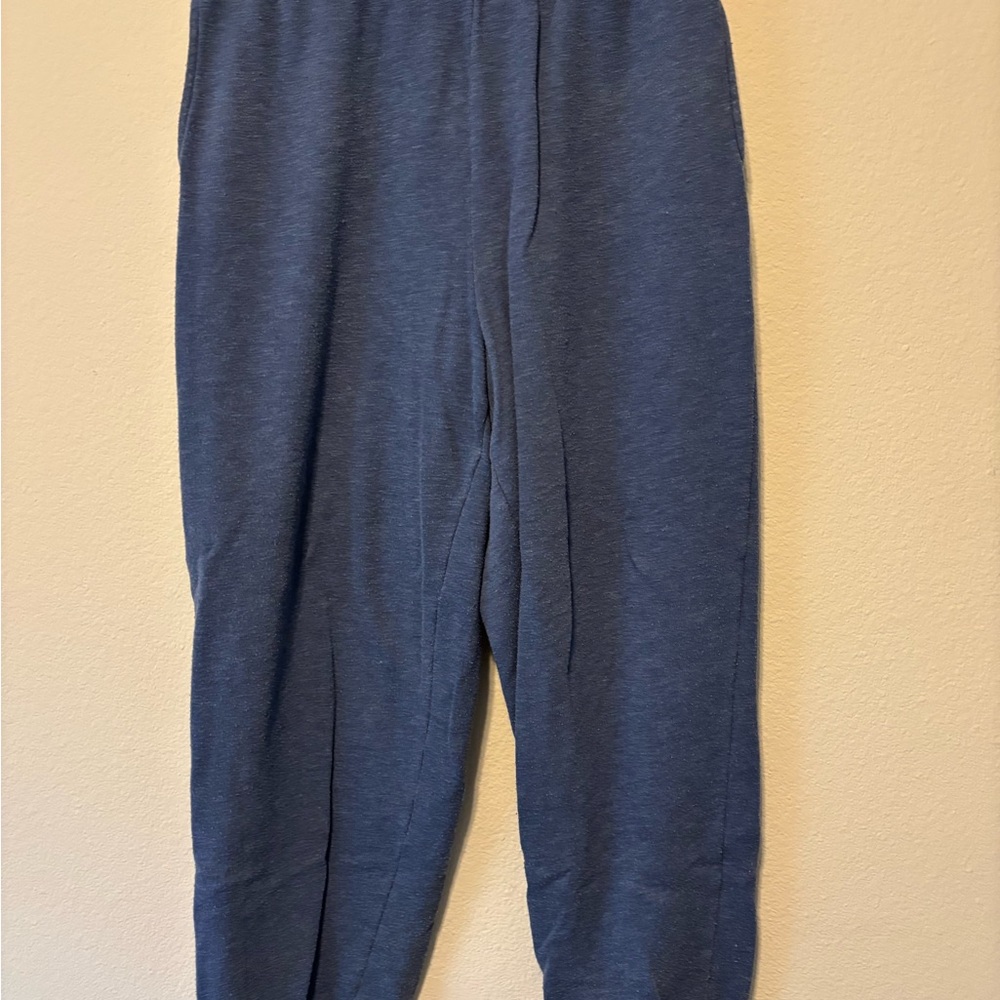 American Eagle Outfitters Navy Sweats